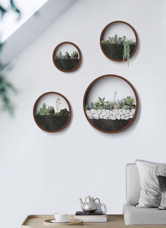 quatre terrariums muraux ronds