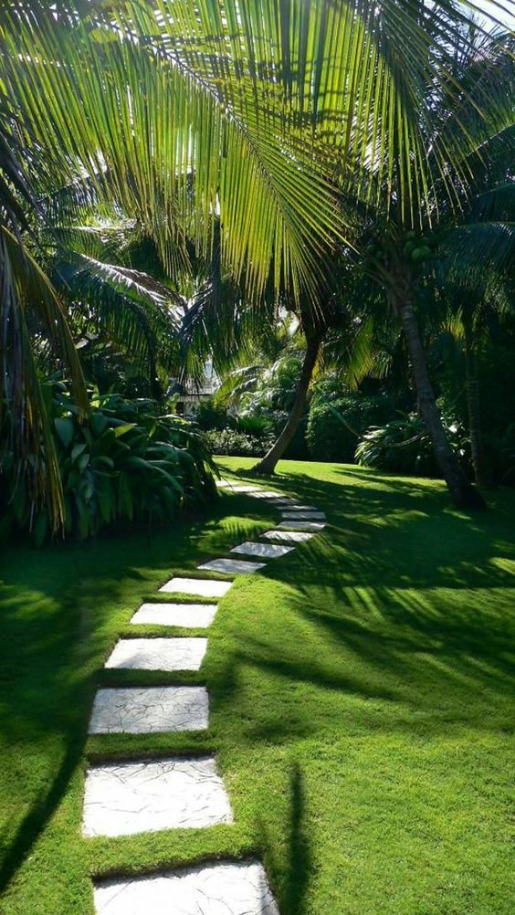 Chemin de dalles jardin tropical