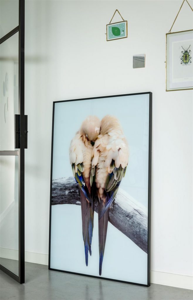Grand tableau représentant des oiseaux qui se font un câlin