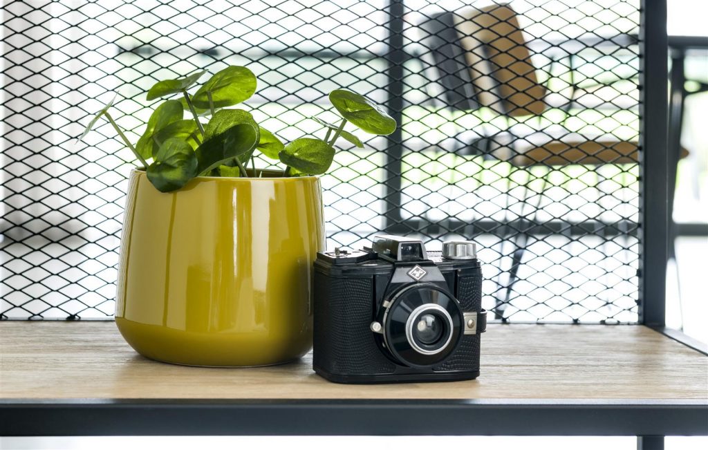 Pot de fleurs en céramique jaune moutarde