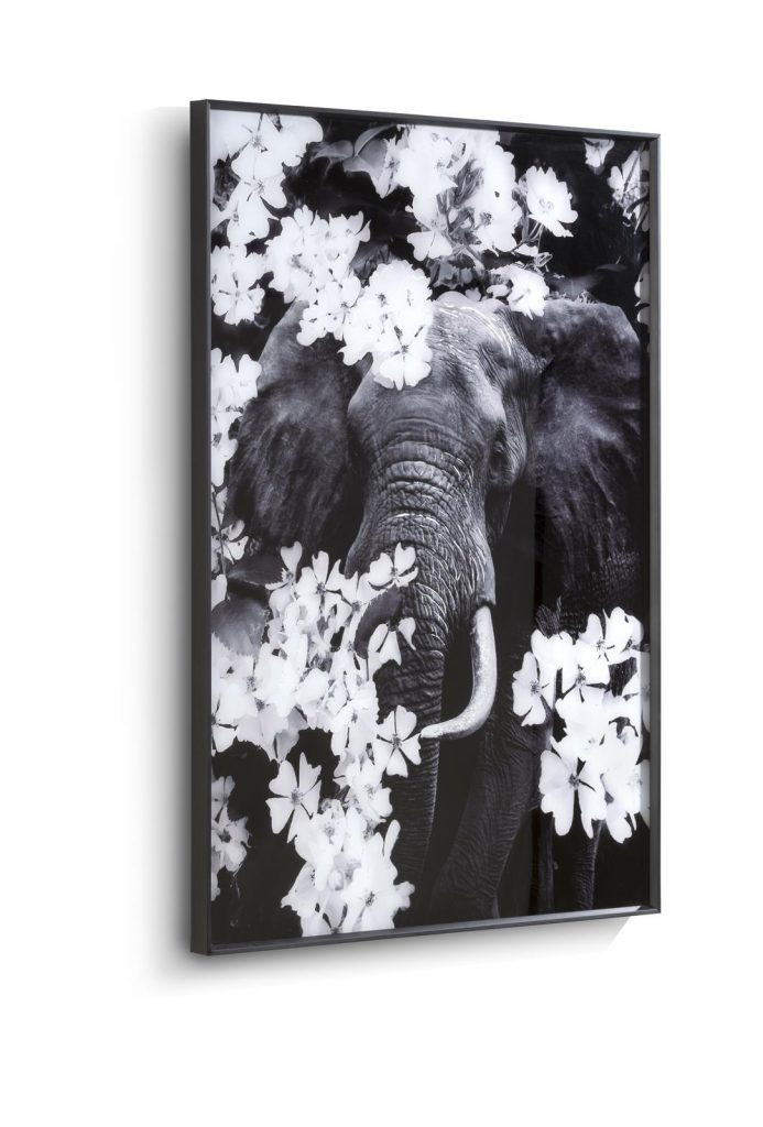 Tableau noir et blanc représentant un éléphant et des fleurs