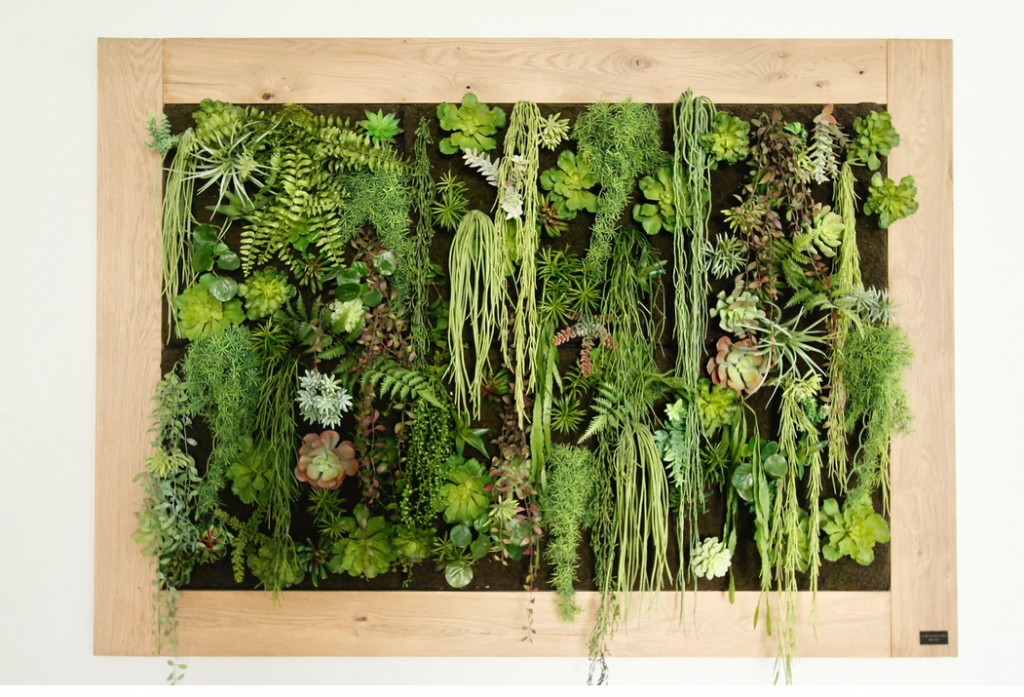 Décorateur d'intérieur La Déco by Séb et Nico cadre végétal plantes grasses