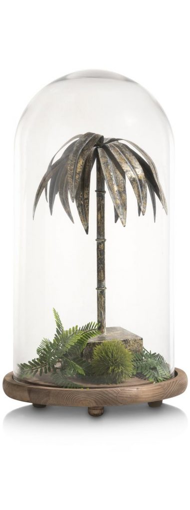 Composition de décoration avec une cloche en verre et socle en bois