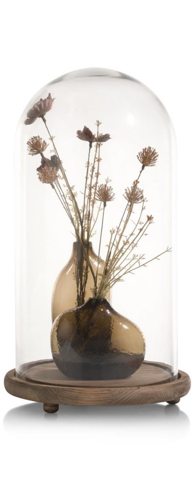 Composition de décoration avec une cloche en verre et socle en bois