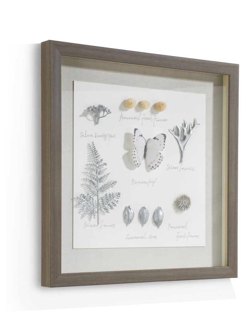 Tableau carré sous verre représentation naturelles façon herbier